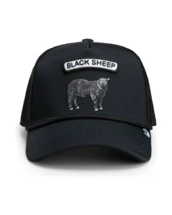 GB2 Black Sheep