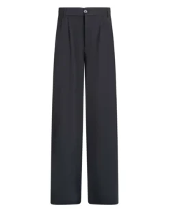 Purlazanna pleat pants