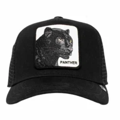 The panther-core